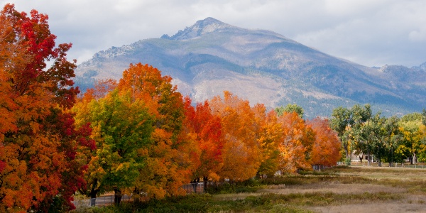 Fall colors, Daly Mansion, Hamilton, MT