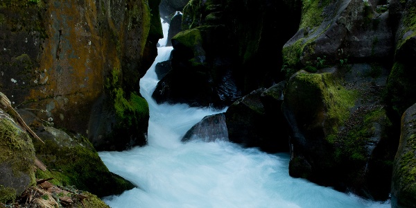 Avalanche Creek Gorge, Glacier National Park