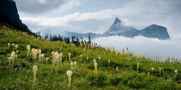 Trail to Hole In The Wall Campground, Glacier Nati