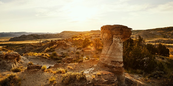 Baisch's Dinosaur Dig in Glendive,