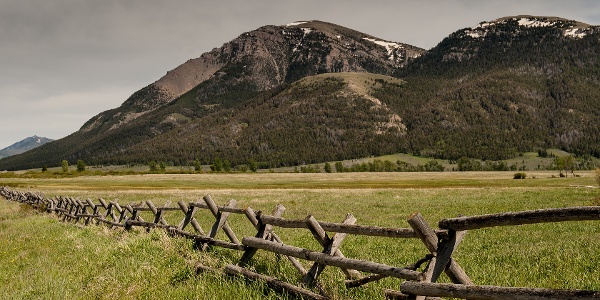 Rustic wooden fence running through a field