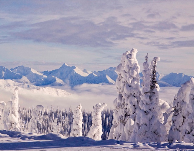 Snow ghosts Whitefish Mountain, MT